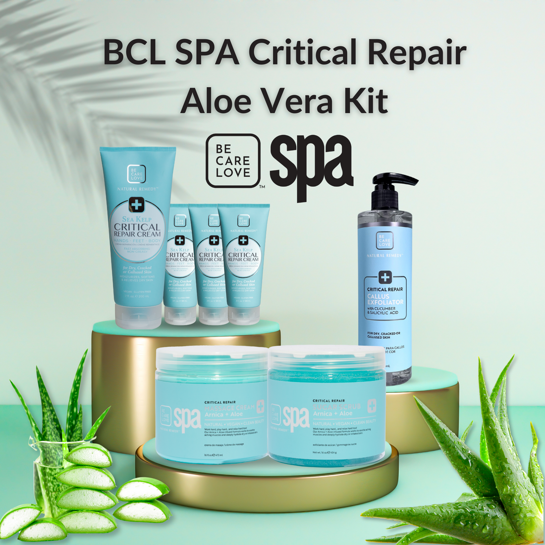 BCL SPA Critical Repair Aloe Vera Kit with aloe vera plants on a light green background