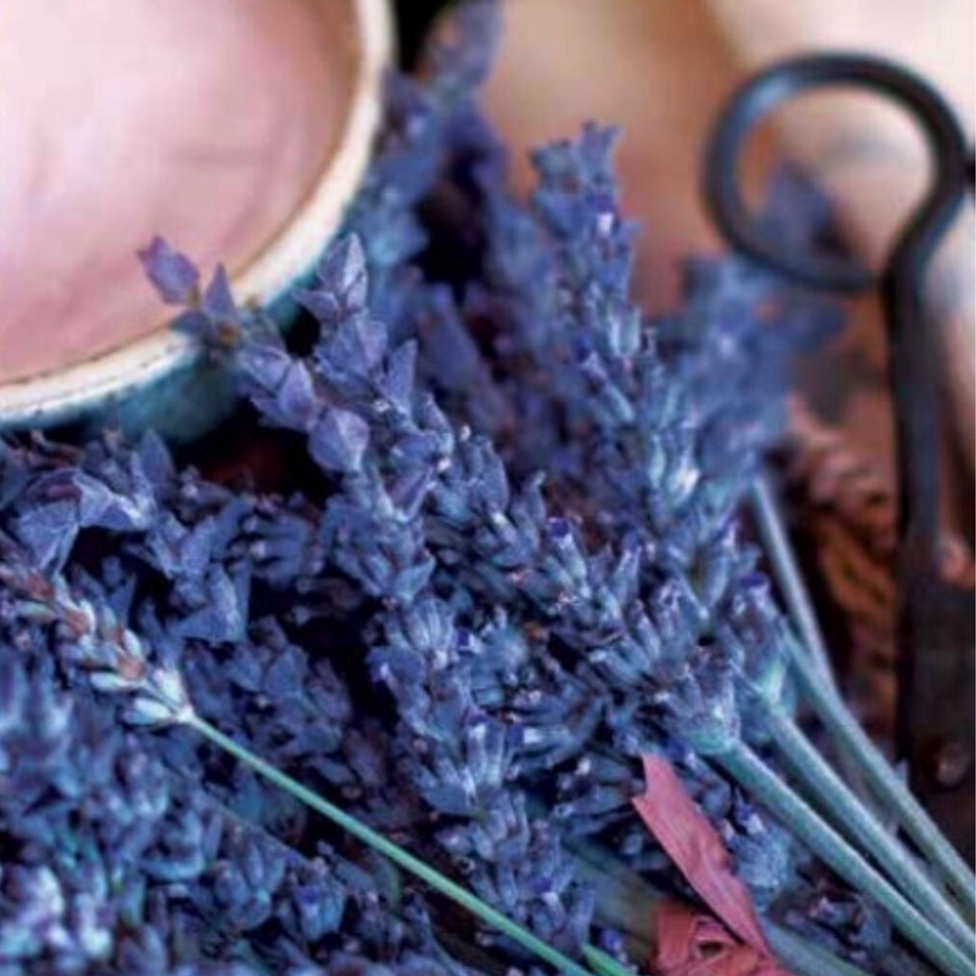 Cuccio Naturalé Lavender Fragrance