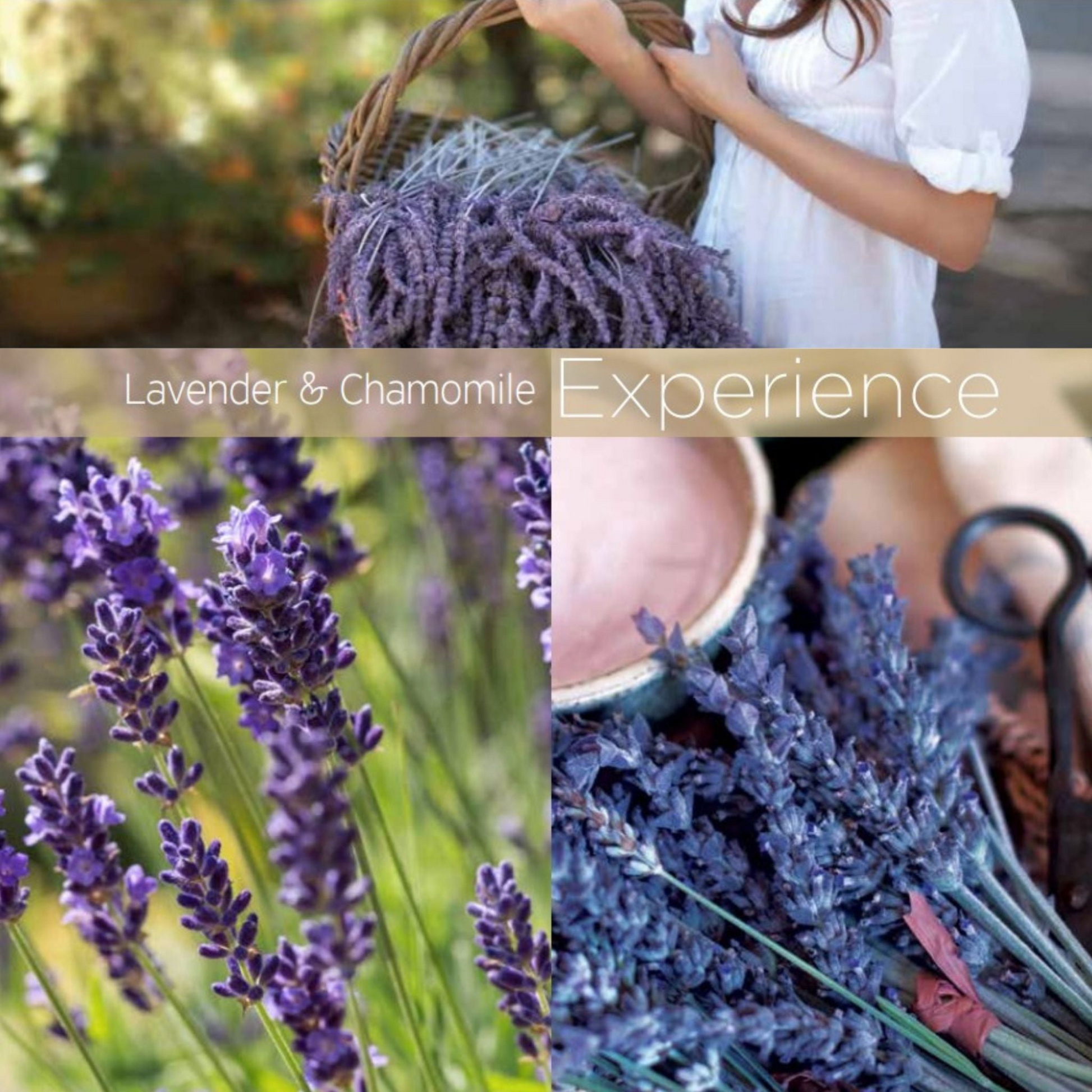 Cuccio Naturalé Lavender & Chamomile Fragrance