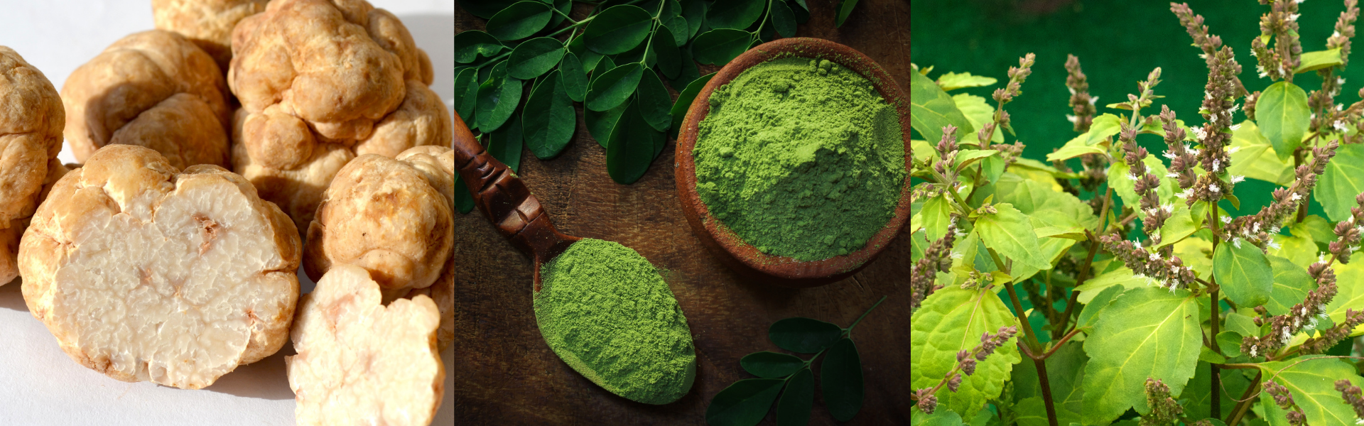 collection-banner-image