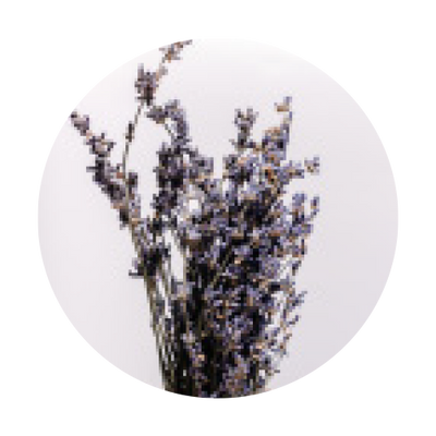 Lavender_Water