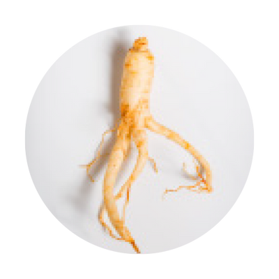 Peony_Root_Complex