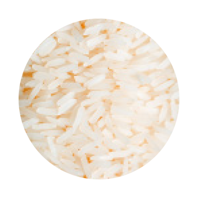 Rice_Protein