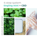 BCL SPA Tingling Mint 4 Step Manicure and Pedicure system with mint-infused products, displayed in the image.