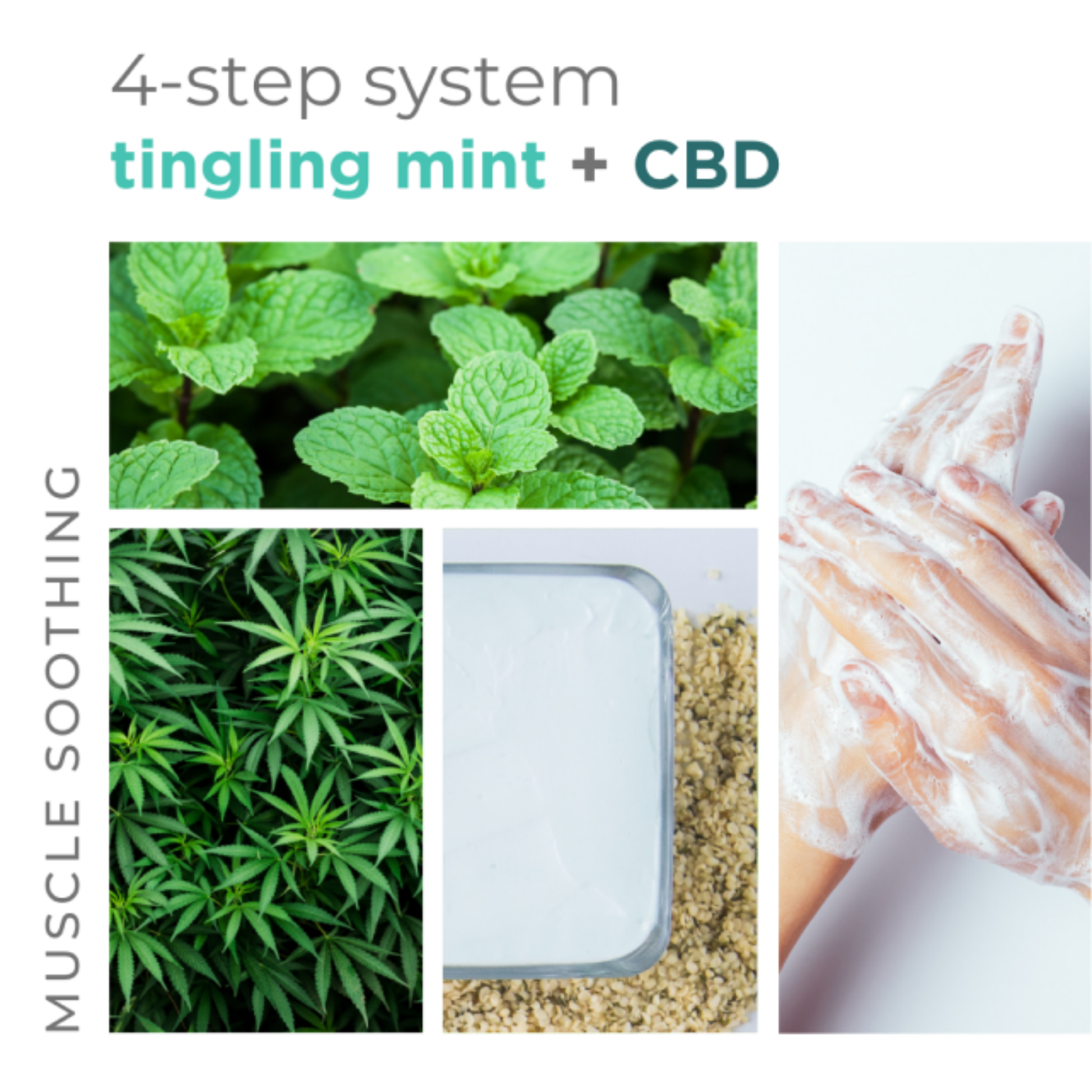 BCL SPA Tingling Mint 4 Step Manicure and Pedicure system with mint-infused products, displayed in the image.