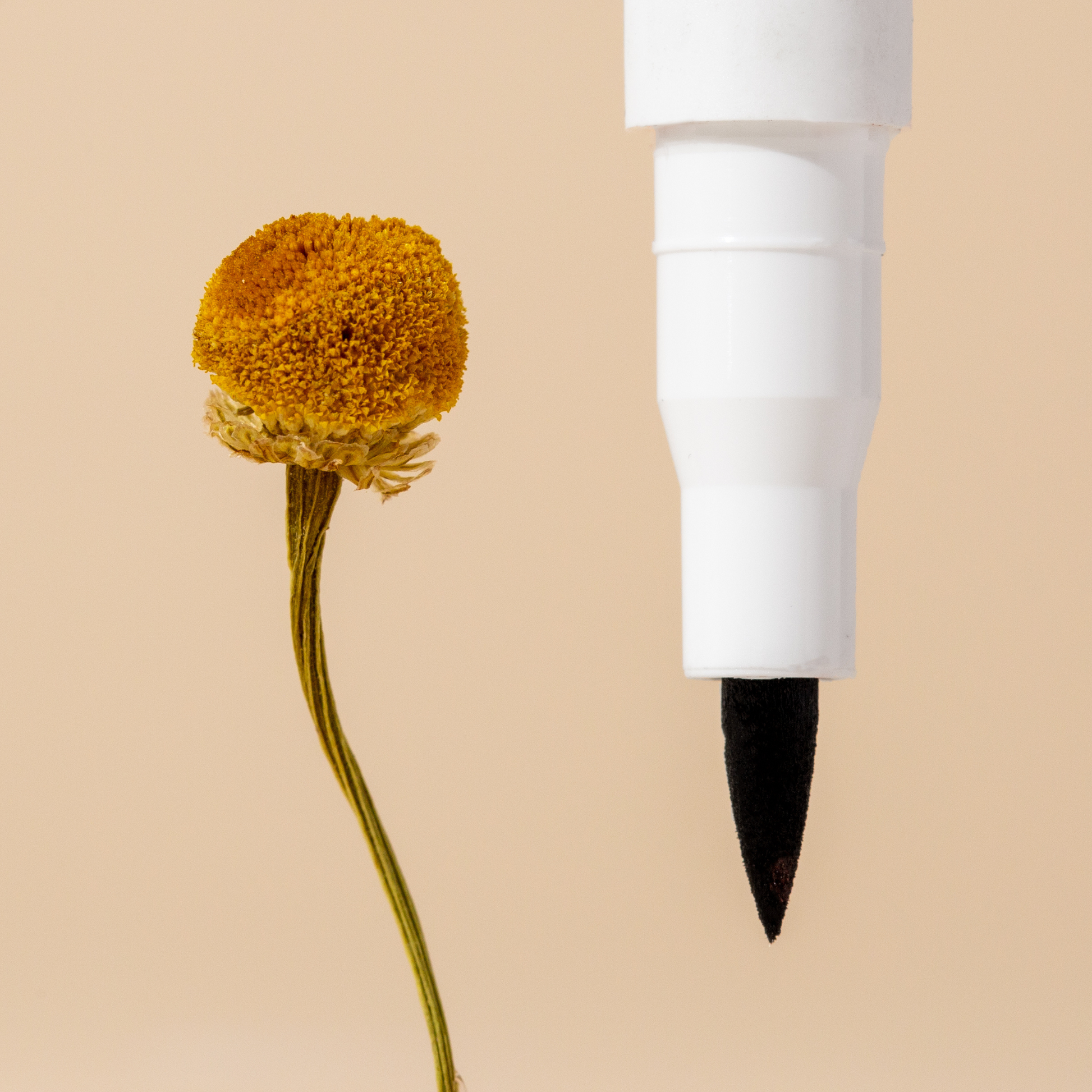 JB Cosmetics Browfood Chamomile Makeup Eraser Pen, a compact pen-shaped makeup remover with chamomile extract for gentle cleansing.