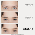 JB Cosmetics Browfood Phyto-Medic Eyebrow Enhancing Serum 5ml bottle with applicator brush, designed to improve eyebrow fullness.