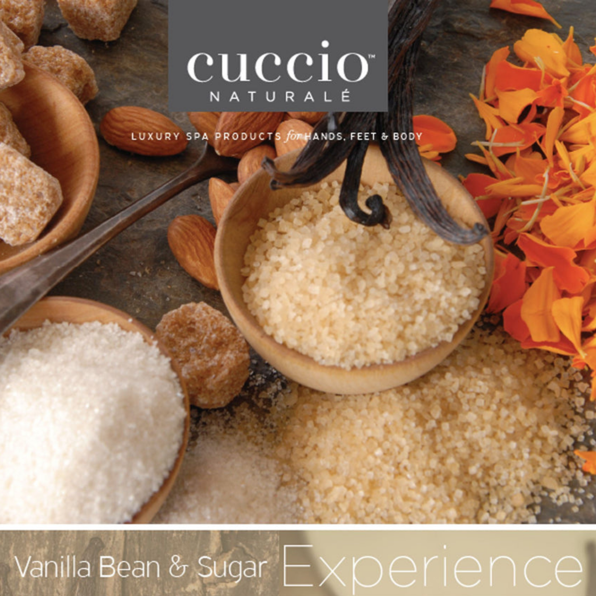 Cuccio Naturalé cuticle revitalizing oil duo pack with vanilla bean and sugar, featuring nourishing cuticle cream and oil for healthy nails.