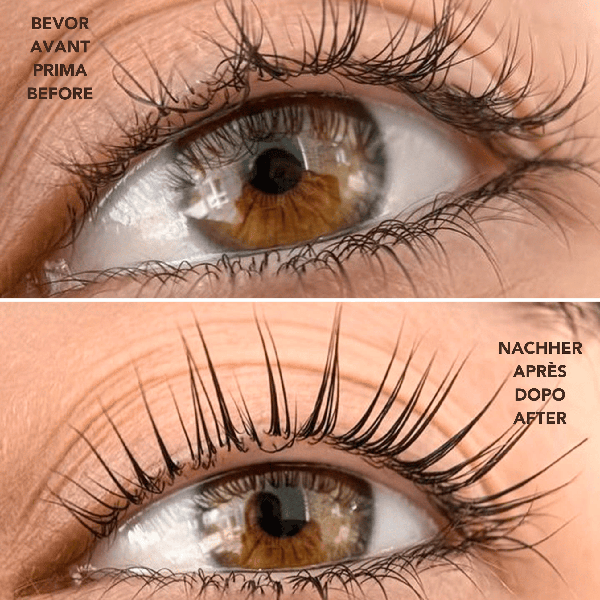 Élan KeraVeg Lash Lift System Kit for lashes and brows lamination, showing lash and brow lamination results with tools and products.