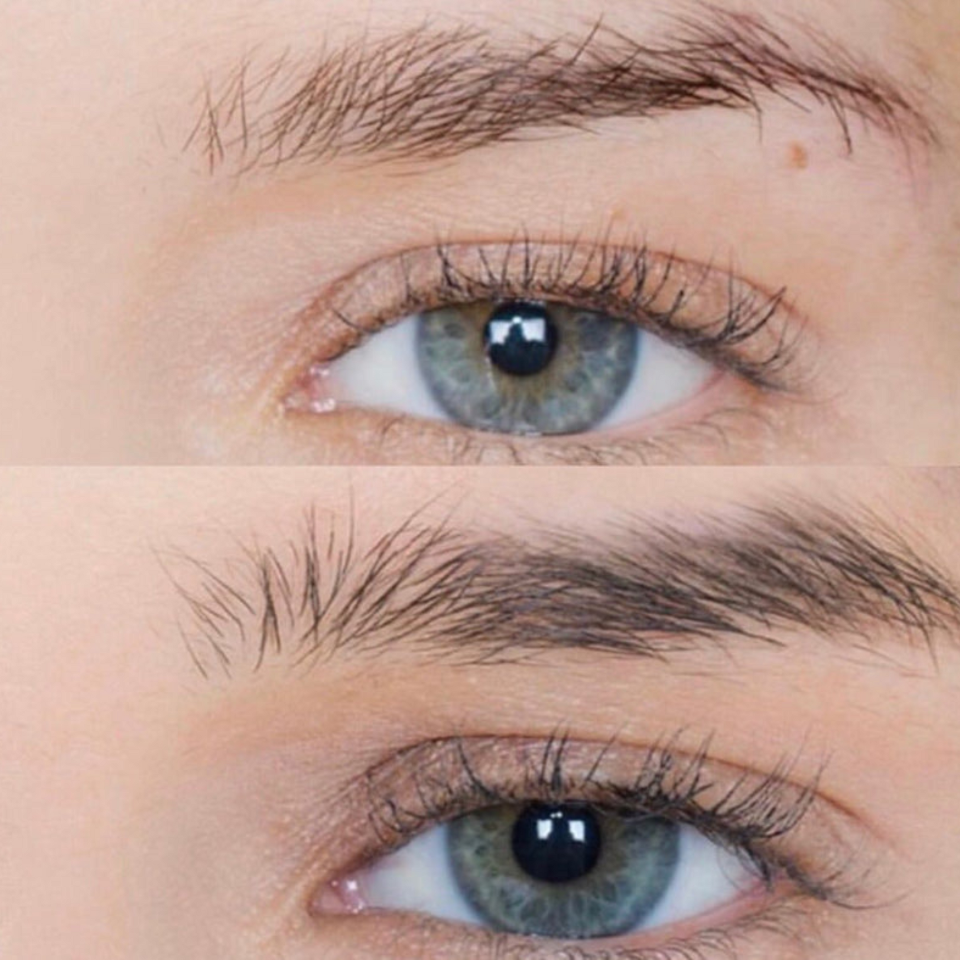 LFKIT16 Lashfood Lash + Brow RX Kit 03