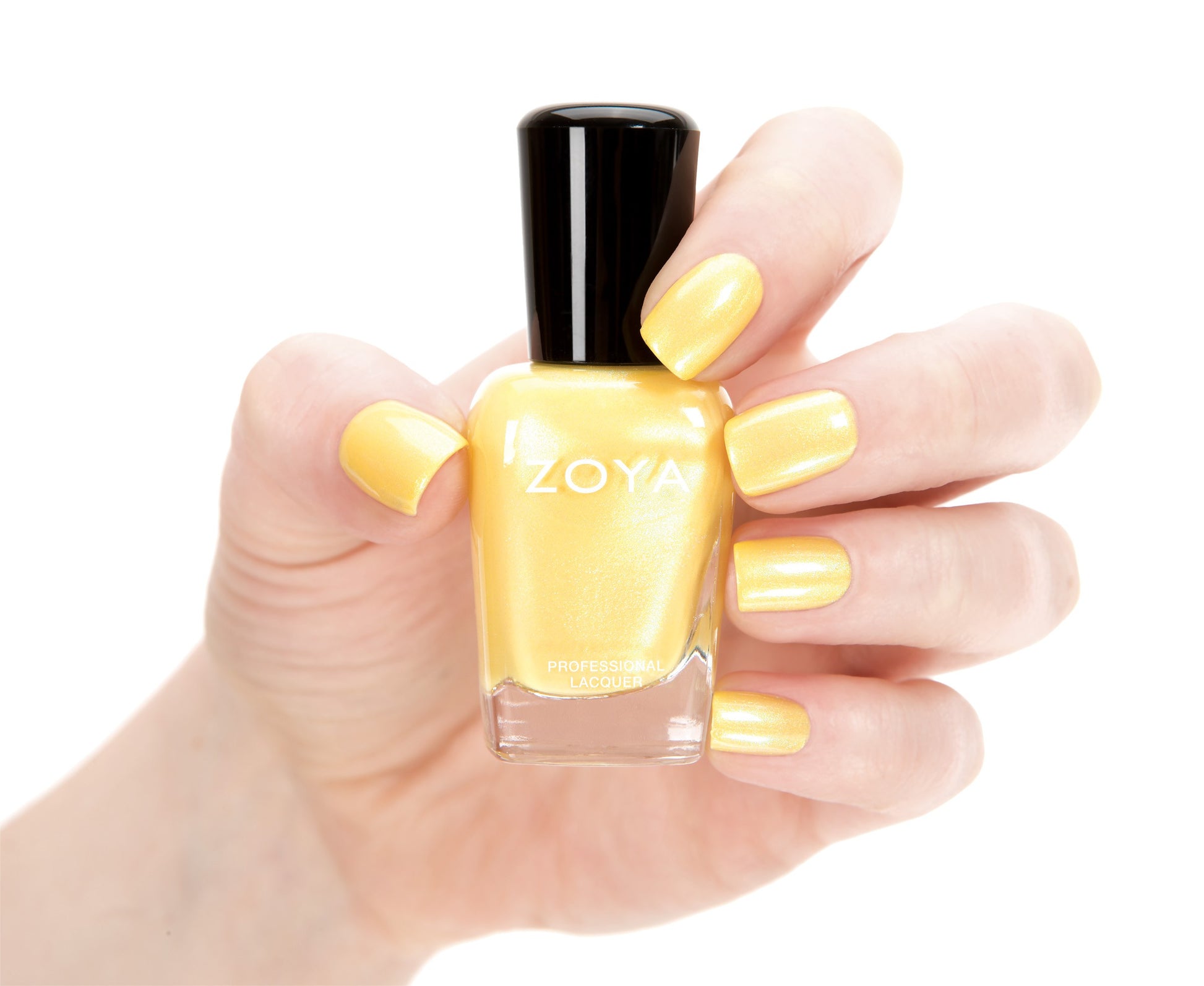 Zoya Daisy