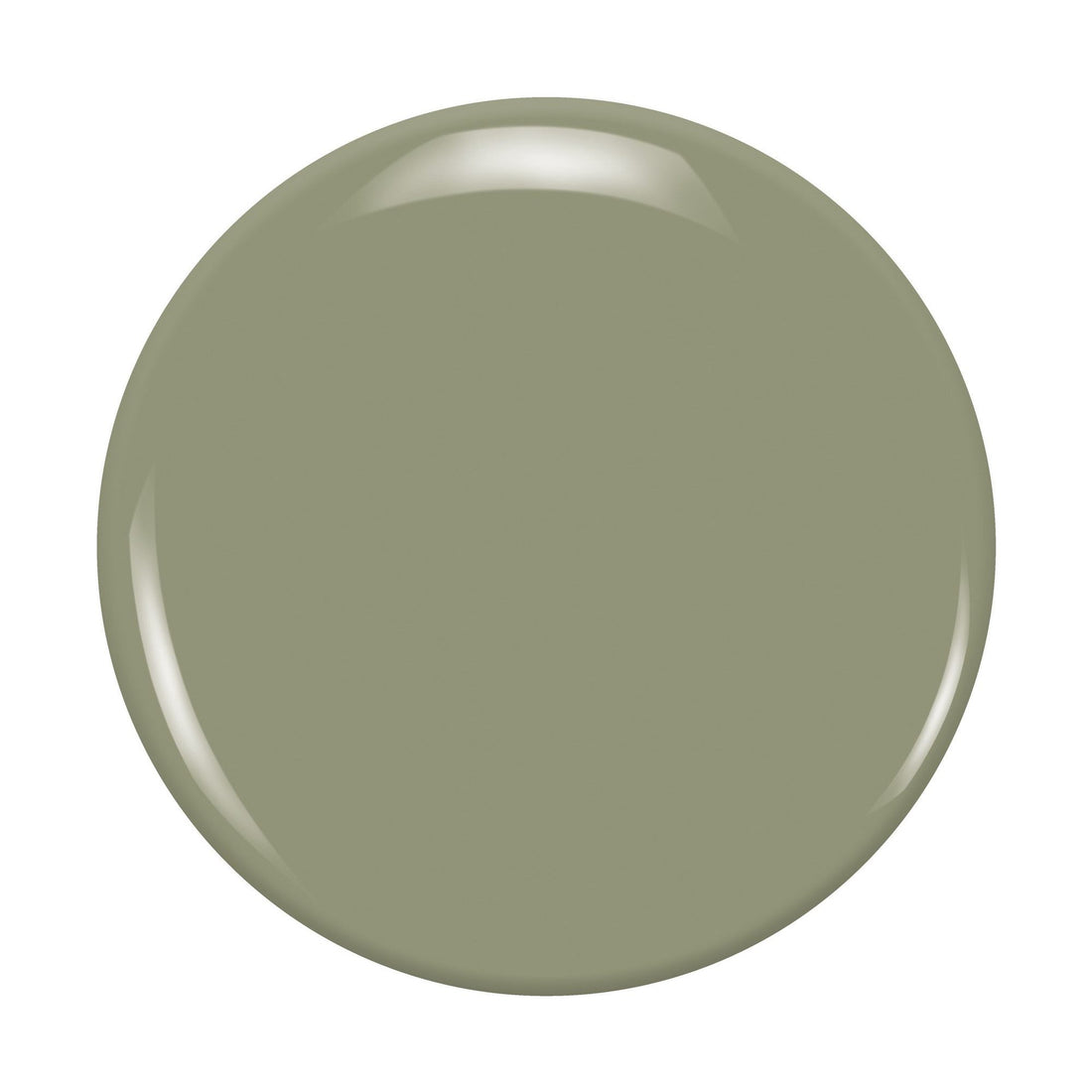 Zoya Ireland nail polish bottle with deep green shade, featuring the Zoya logo on the label.
