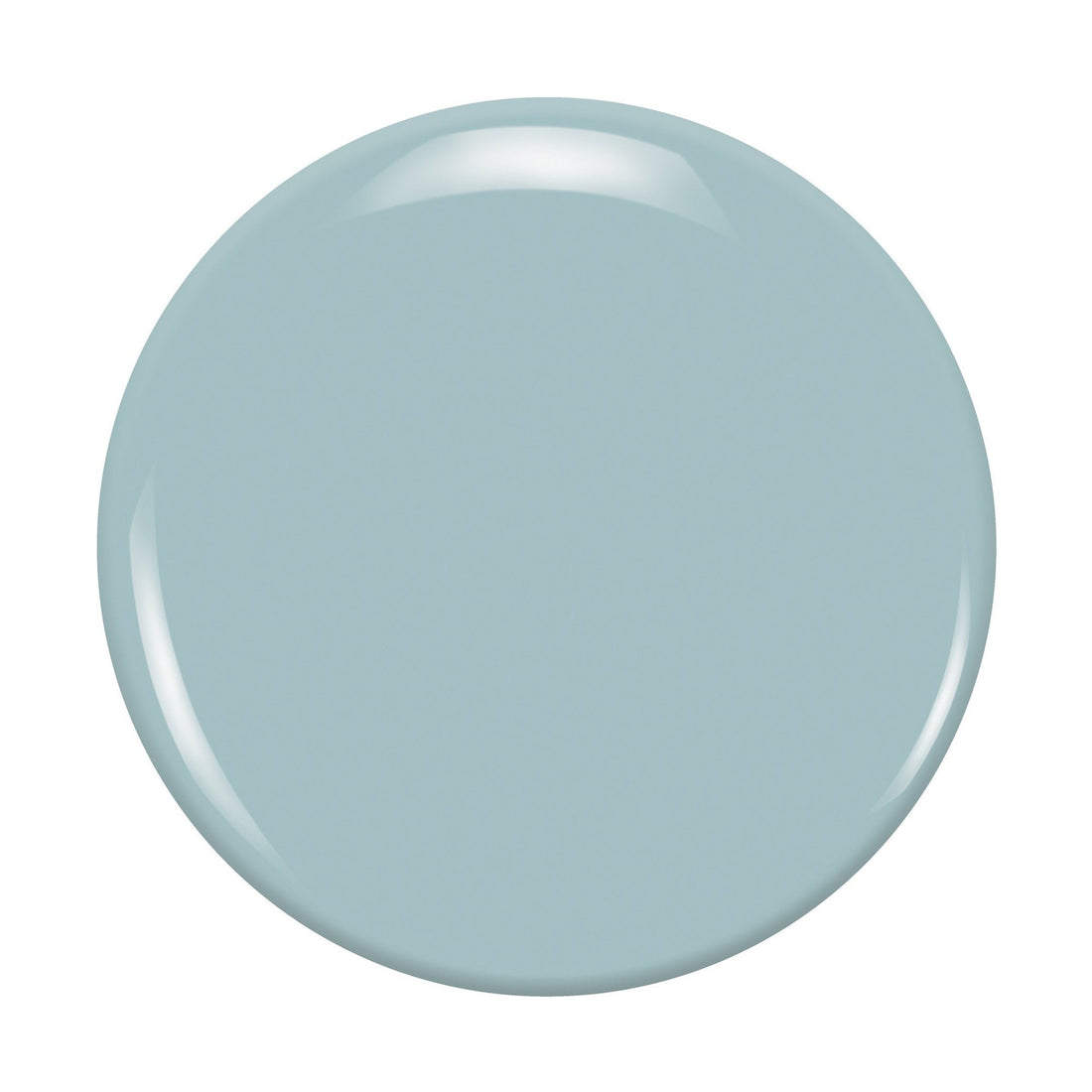 Zoya Lake nail polish bottle with light blue color and white cap, part of Zoya's nail polish collection.