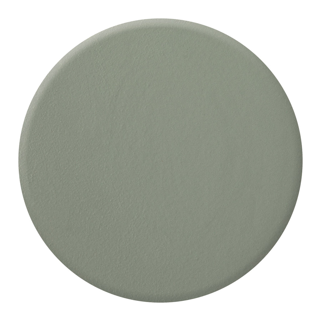 Zoya Sage nail polish bottle showing a soft, muted green shade with the Zoya logo on the label.