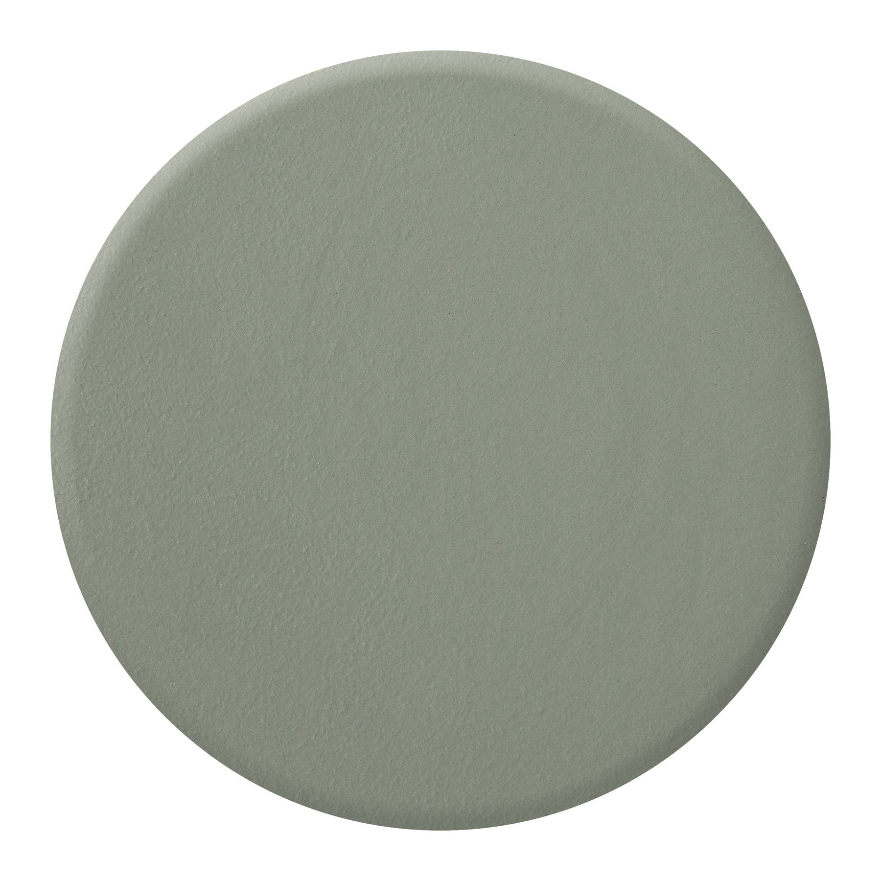 Zoya Sage nail polish bottle with a deep green shade and glossy finish, displayed on a neutral background.